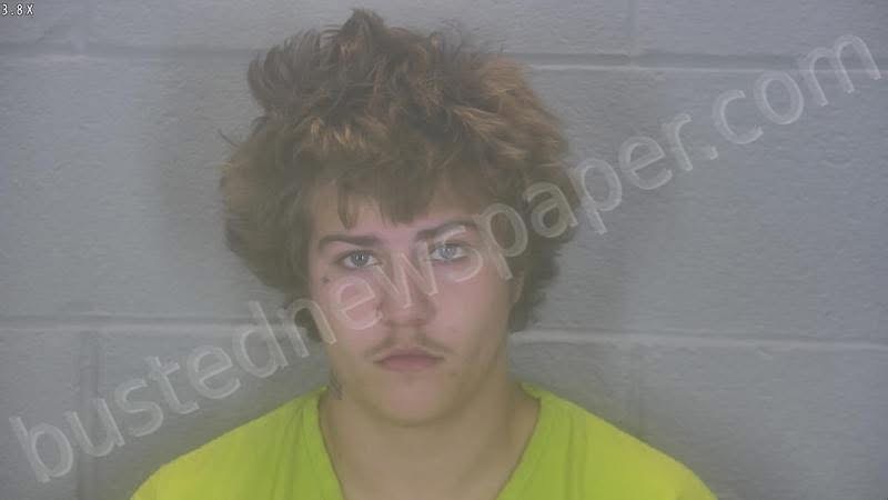 lafayette police: 18-year-old dynasty battle fatally shot, suspect grace fultz arrested