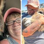 In Loving Memory of Kathy Jenkins